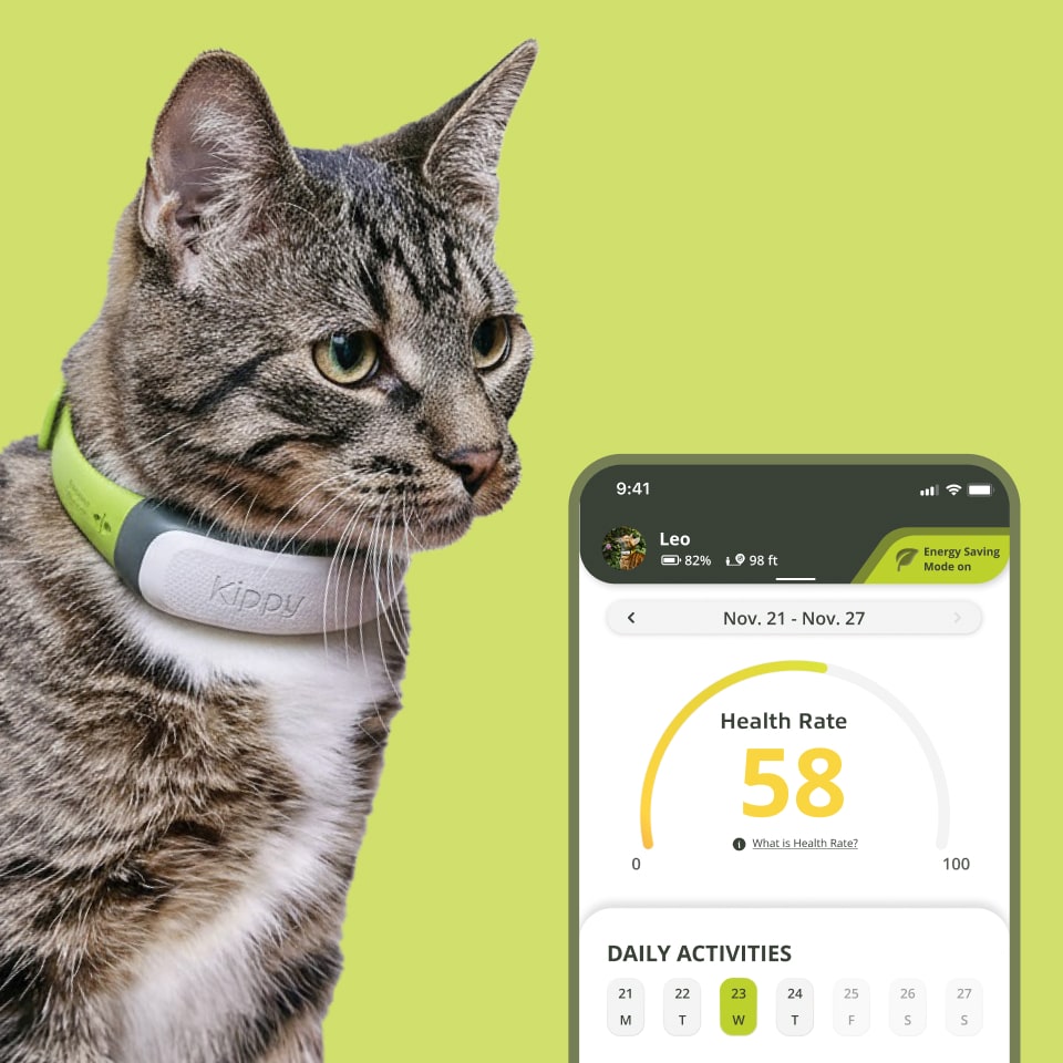 Kippy CAT GPS Tracker